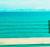 OceanTree