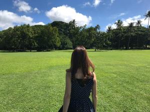 shino_kei