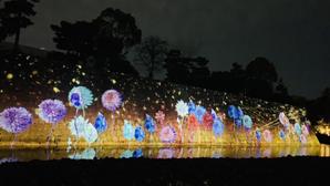 湯川 俊樹