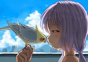 梅雨こまち
