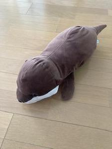 akio04