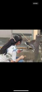 ゆちゃ