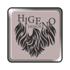 HIGENO_DESIGN