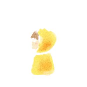 シマサキ