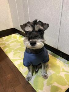 川本 莉可
