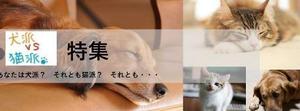 なんでもやります！1級建築士を取得済