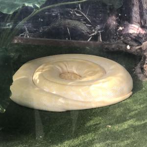 鈴木 一誠