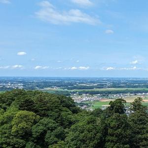 影山 ミナミ
