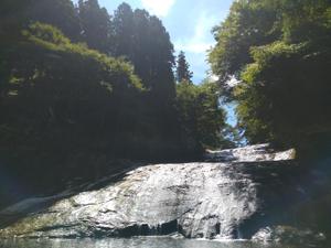 駆け出し歯ライター