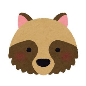 raccoon＊dog