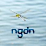 ngdn