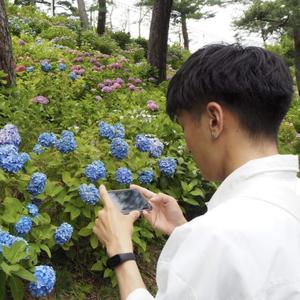 ハル