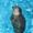 warara_25