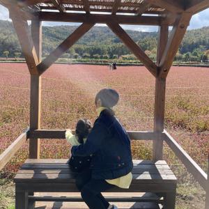 yuuri_web