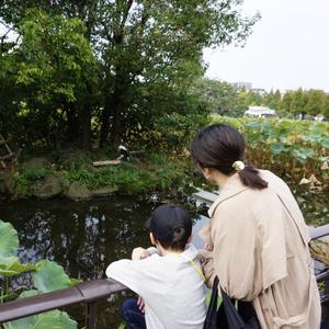 氏原まや