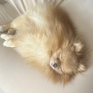 草崎りほ