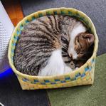 だいきち