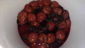 kumanya