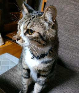 【現在休止中です】なかうえ