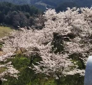 まどか