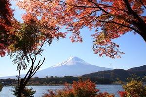 Taiki