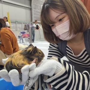 はるか