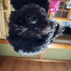 伊東 伸恒