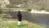 shiri_8