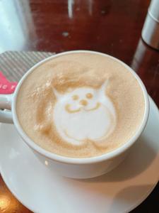 かなにし