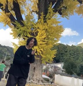 tam