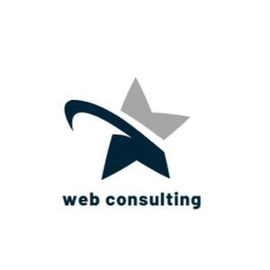 web consulting