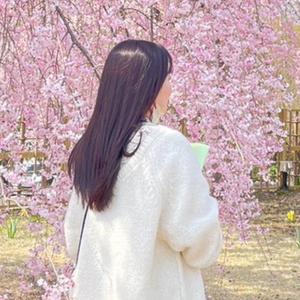 あんず