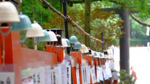 青山 哲士