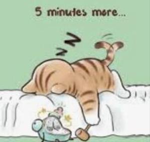 Zzz...