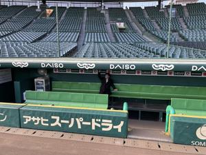 とらお