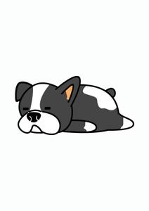 シバデザイン