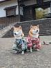 ココカンパニー