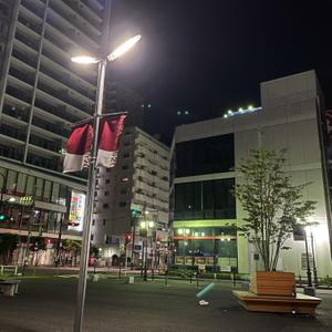 ぴこやし