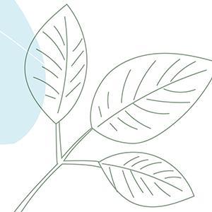 さきむらあかり