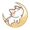 NEKO