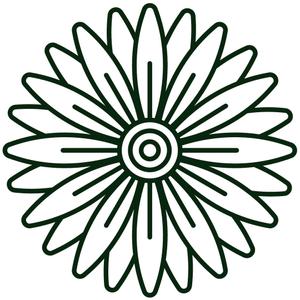 tk_gerbera
