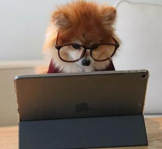 Mr.コンサルくん