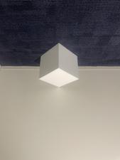 おきた