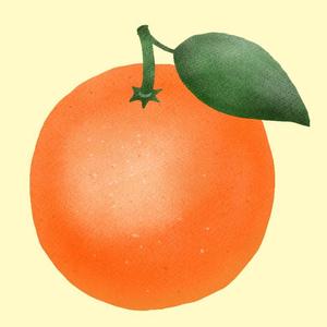 orangebird516