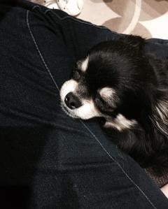 mizuki＠