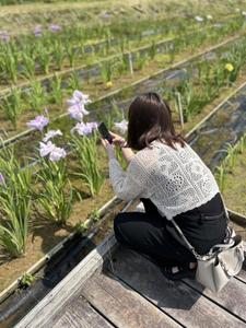 岡田紗佳