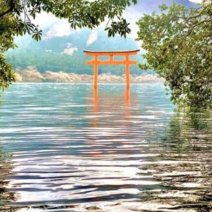 せぐ