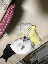 田邊 ちどり