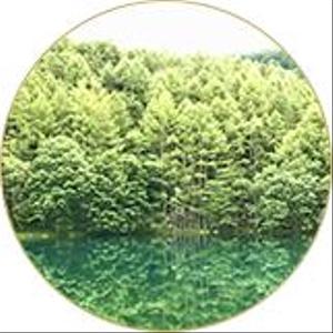 yama_ami