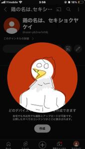 赤色 野鶏